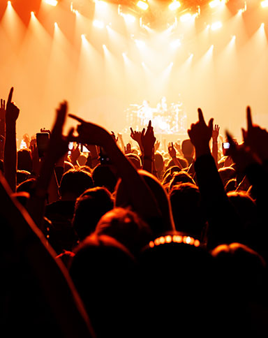Image of a crowd at a concert